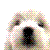 :iconKitxan: