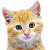 :iconkitykat17: