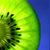 :iconkiwi--san:
