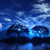 :iconkiwi-147: