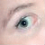 :iconkiwi-emberfist: