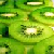 :iconkiwi-fruwit: