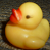 :iconkiwi-kauri-kid:
