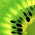 :iconkiwi-mon: