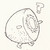 :iconkiwi-person: