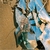 :iconkiwi1607: