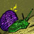 :iconkiwi665:
