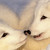 :iconkiwi6651: