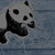:iconkiwibloo: