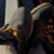:iconkiwifugl: