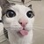 :iconkiwigirlee:
