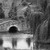 :iconkiwiitaliano: