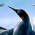 :iconkiwijunglist: