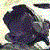 :iconkiwikichan: