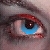:iconkiwiloveskelption: