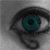 :iconkiwirulesyou: