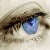 :iconkiwitart: