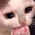 Kixn :iconkixn: