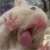 kixxar :iconkixxar: