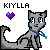 :iconkiylla: