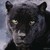 :iconkizo2703: