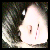 :iconkizzybion: