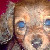 :iconkjluvsjc: