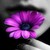 :iconkk-buzz-511: