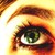 :iconkkp71408: