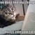 :iconkkrocks5678: