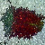 :iconkl455yk47: