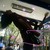 :iconklaha-technicolor: