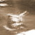 :iconkland70: