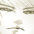 :iconkleckermaus: