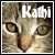 :iconKleineElfe: