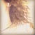 :iconkleiw-kav:
