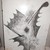 :iconklemens67: