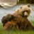 :iconkleptoskank: