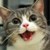 :iconklevarkitteh: