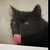 :iconklinnks: