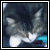 :iconKlipzLegacy: