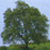 :iconkln-photos: