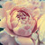 :iconklo88: