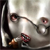 :iconkloosha: