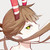 :iconklucif: