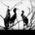 :iconkluckett0210: