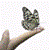 :iconklupkovida: