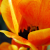 :iconklvickers: