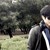 :iconkmj123: