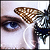 :iconkmorganp: